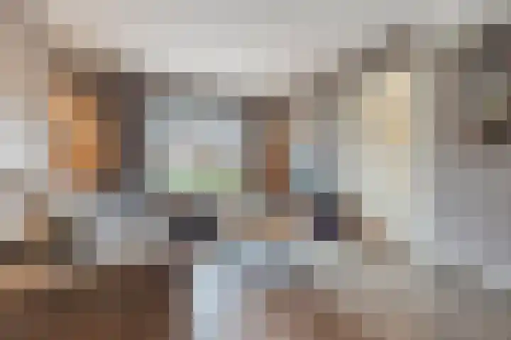 van Galenstraat 8 Dinteloord thumbnail 15