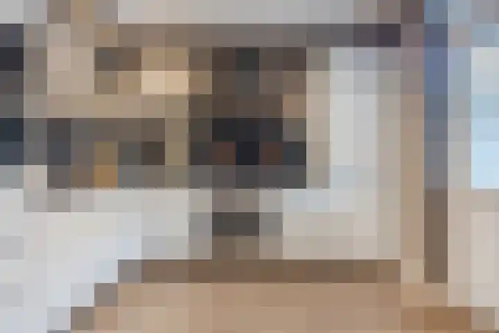 van Galenstraat 8 Dinteloord thumbnail 21