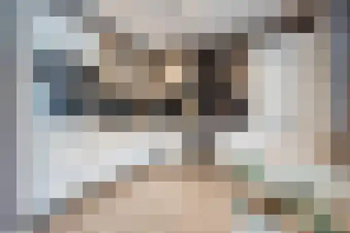 van Galenstraat 8 Dinteloord thumbnail 22