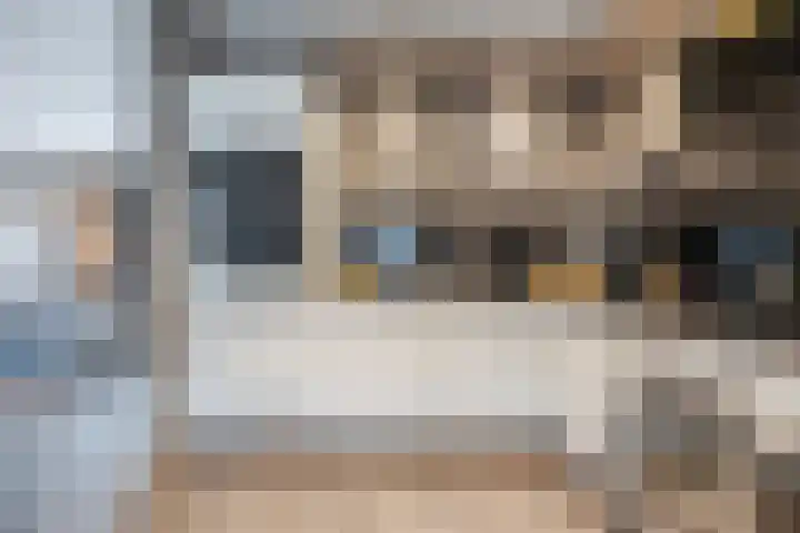 van Galenstraat 8 Dinteloord thumbnail 23