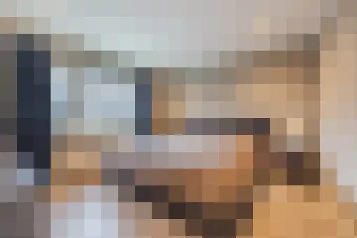 van Galenstraat 8 Dinteloord thumbnail 26