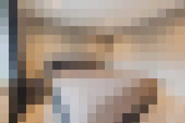 van Galenstraat 8 Dinteloord thumbnail 27