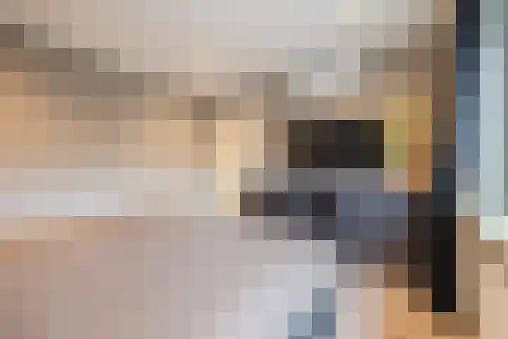 van Galenstraat 8 Dinteloord thumbnail 28