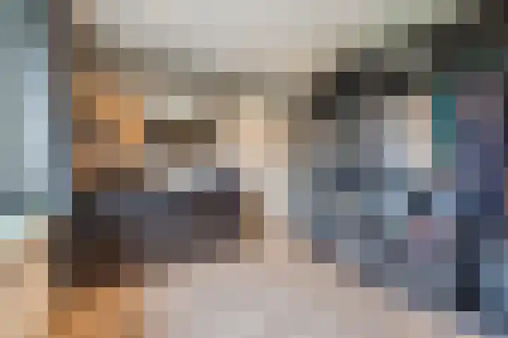 van Galenstraat 8 Dinteloord thumbnail 30