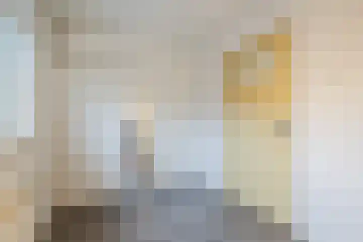 van Galenstraat 8 Dinteloord thumbnail 33