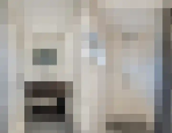 van Galenstraat 8 Dinteloord thumbnail 34