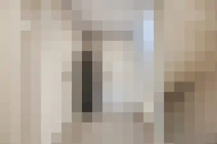 van Galenstraat 8 Dinteloord thumbnail 35