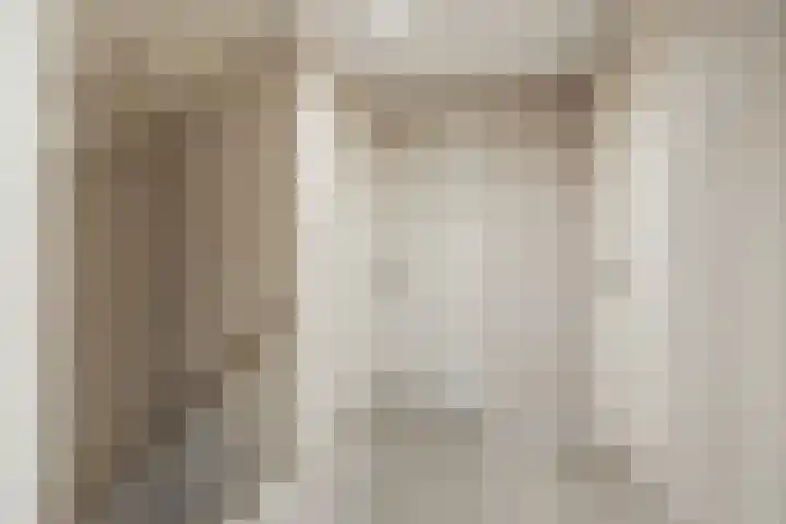 van Galenstraat 8 Dinteloord thumbnail 36