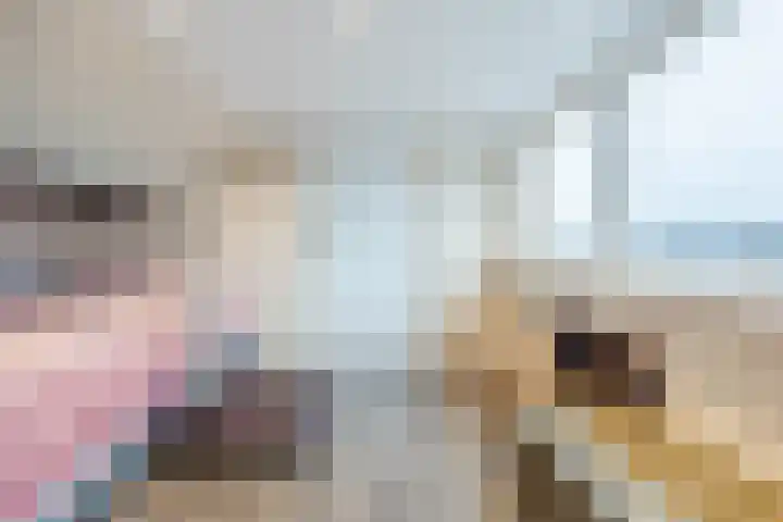 van Galenstraat 8 Dinteloord thumbnail 39