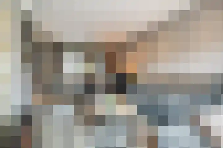 van Galenstraat 8 Dinteloord thumbnail 4