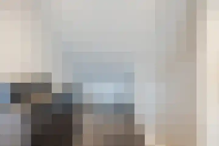 van Galenstraat 8 Dinteloord thumbnail 41
