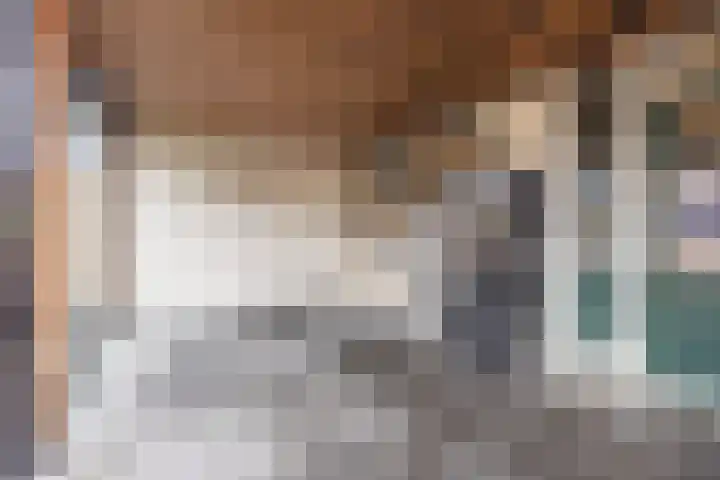 van Galenstraat 8 Dinteloord thumbnail 42