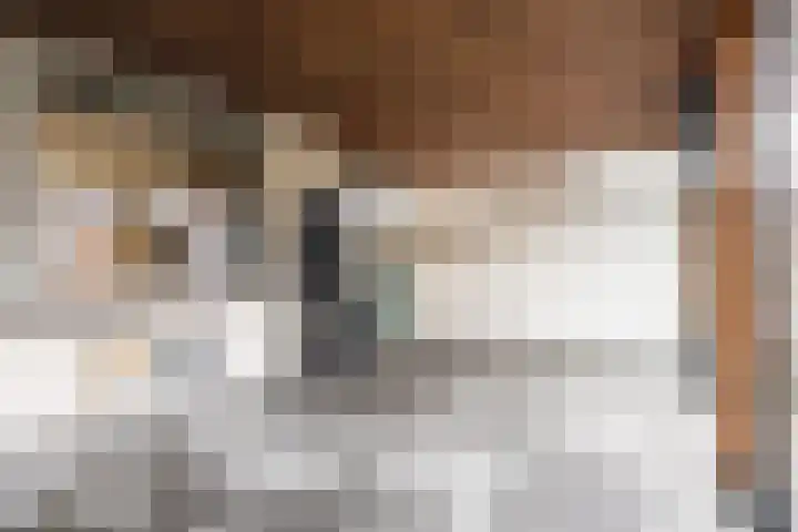 van Galenstraat 8 Dinteloord thumbnail 44