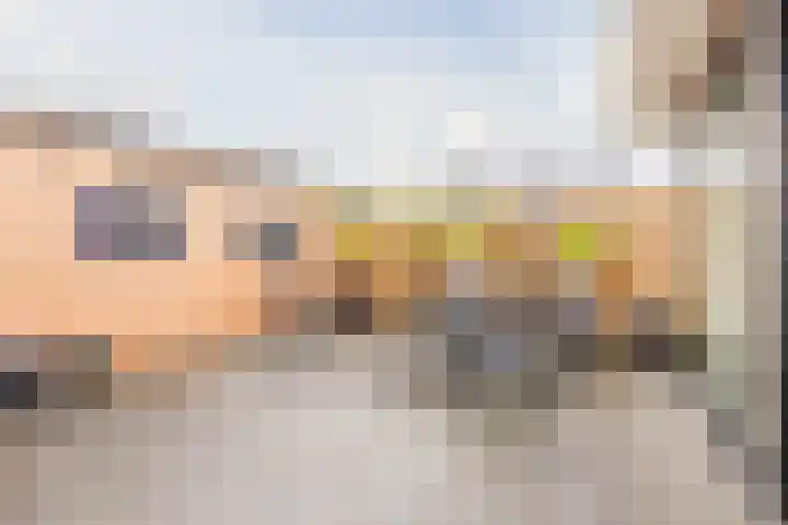 van Galenstraat 8 Dinteloord thumbnail 46