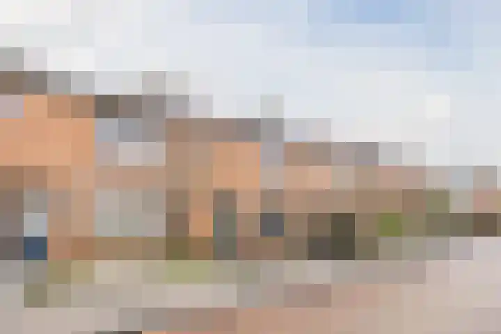 van Galenstraat 8 Dinteloord thumbnail 5