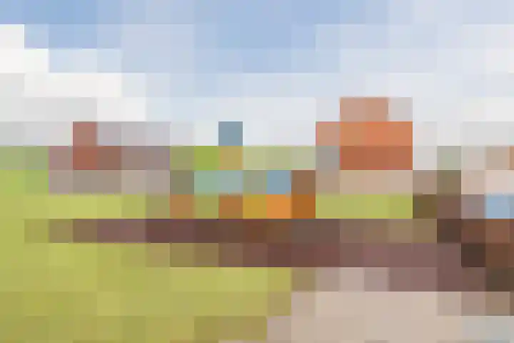 van Galenstraat 8 Dinteloord thumbnail 50