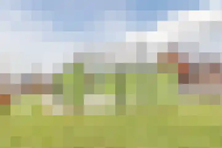 van Galenstraat 8 Dinteloord thumbnail 51