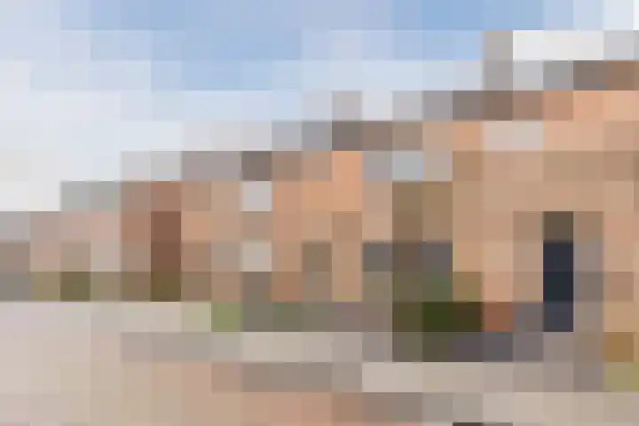 van Galenstraat 8 Dinteloord thumbnail 6