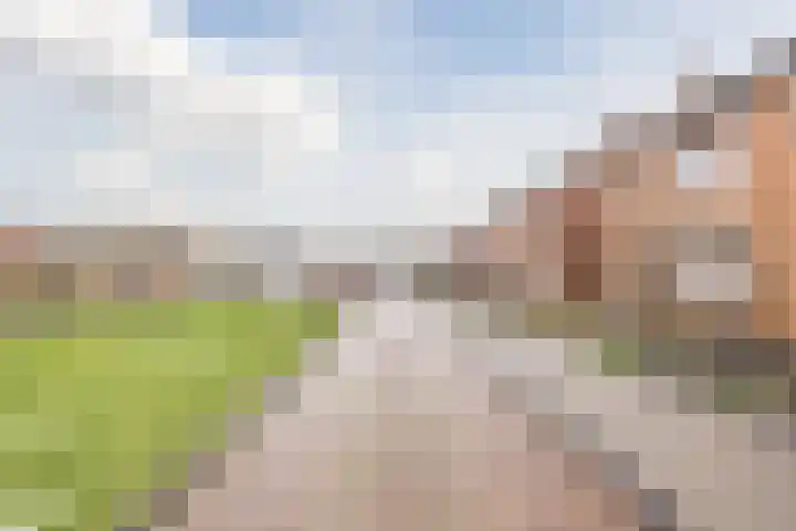 van Galenstraat 8 Dinteloord thumbnail 7