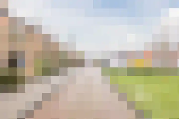 van Galenstraat 8 Dinteloord thumbnail 8