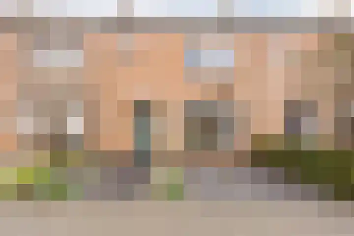 van Galenstraat 8 Dinteloord thumbnail 9