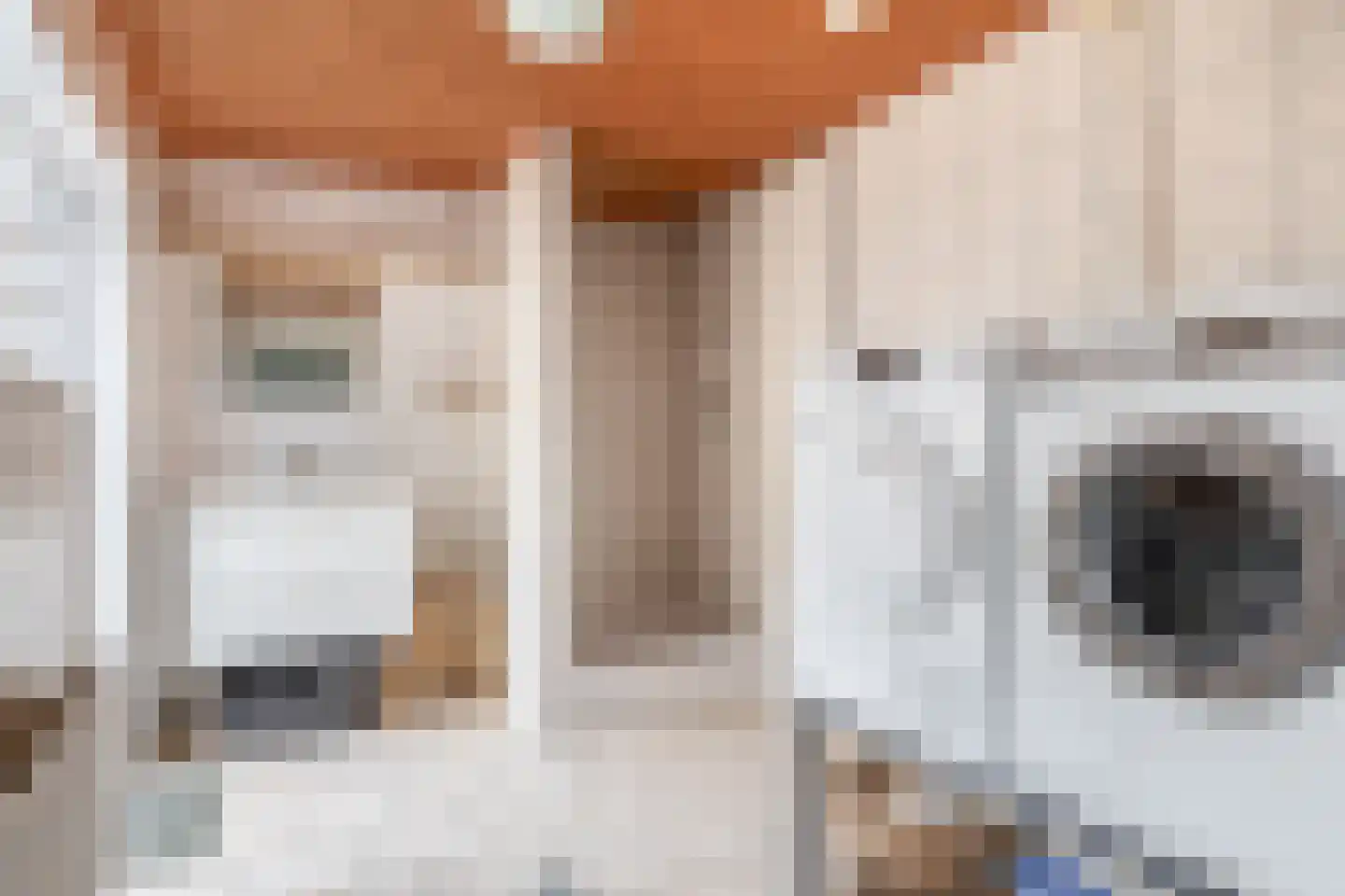 Van Galenstraat 80 Den Helder thumbnail 8