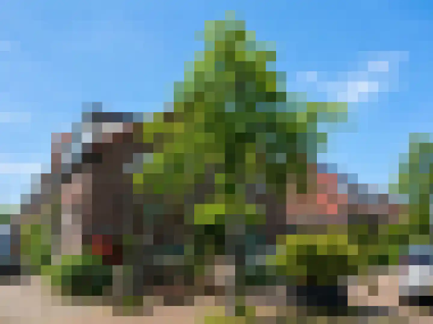 Van Galenstraat 80 Zwolle thumbnail 24