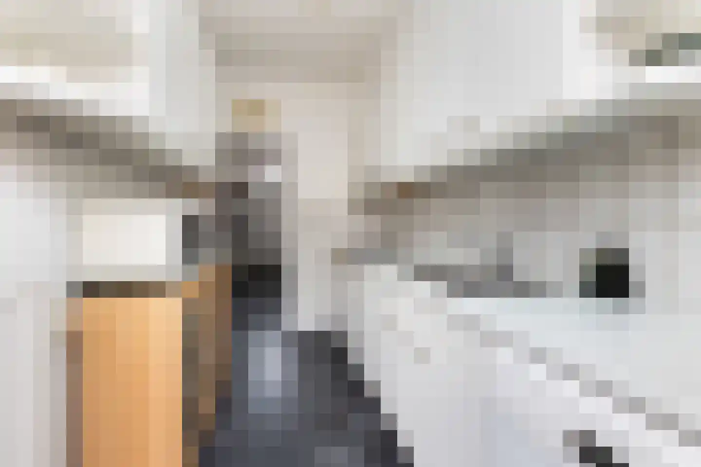 Van Galenstraat 80 Zwolle thumbnail 7