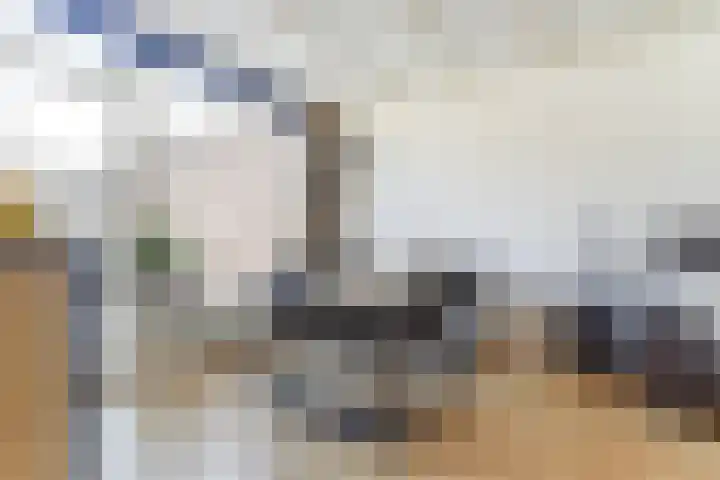 van Galenstraat 9 Geertruidenberg thumbnail 10