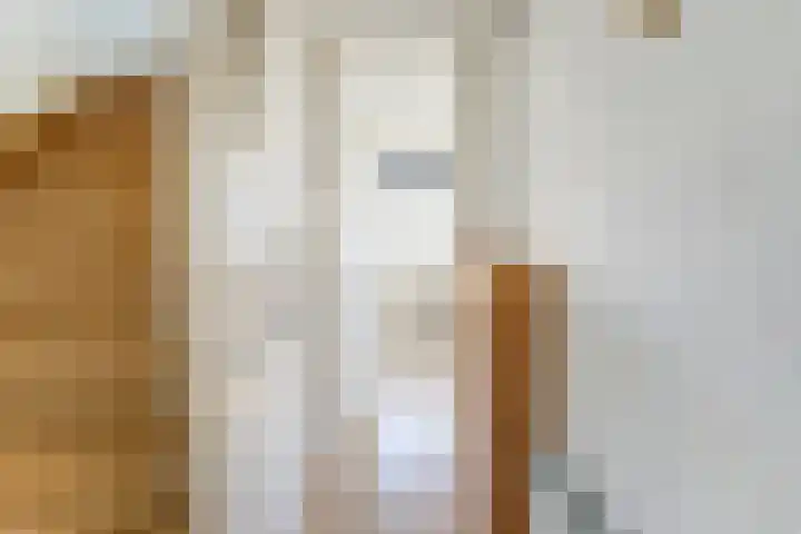 van Galenstraat 9 Geertruidenberg thumbnail 12