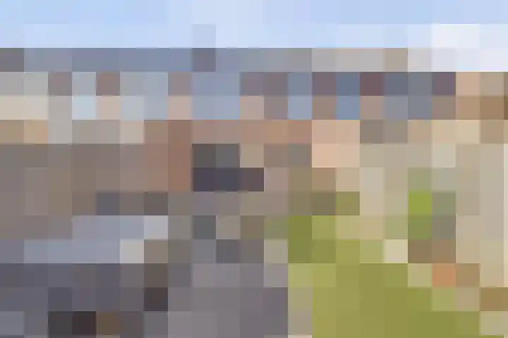 van Galenstraat 9 Geertruidenberg thumbnail 29