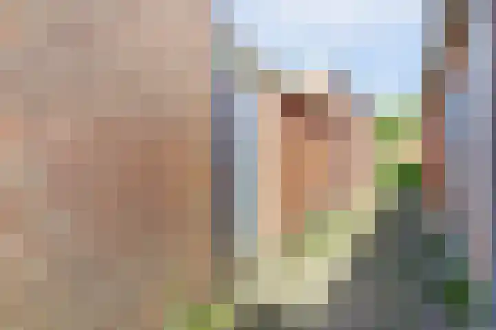 van Galenstraat 9 Geertruidenberg thumbnail 31