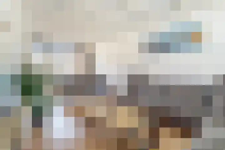 van Galenstraat 9 Geertruidenberg thumbnail 4