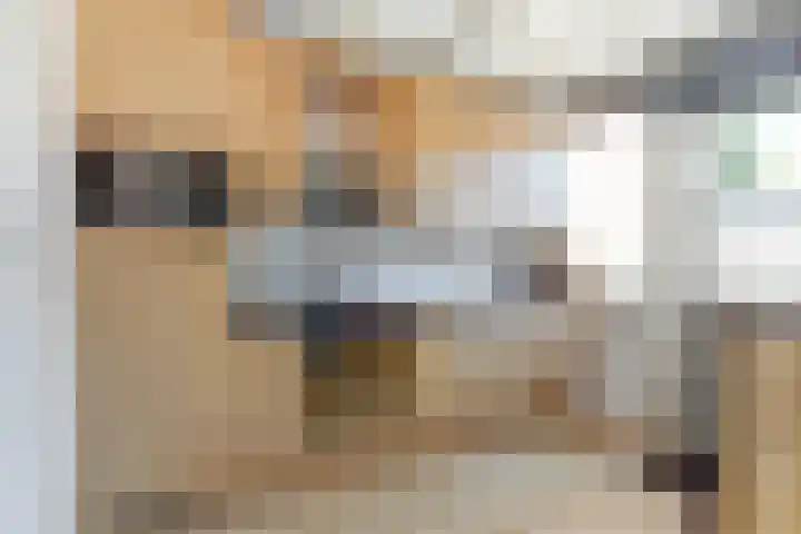 van Galenstraat 9 Geertruidenberg thumbnail 6