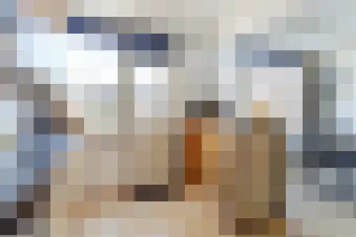 van Galenstraat 9 Geertruidenberg thumbnail 8
