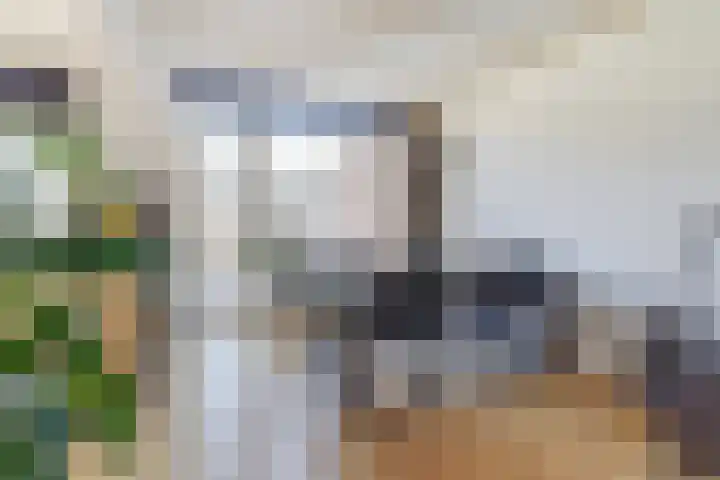 van Galenstraat 9 Geertruidenberg thumbnail 9