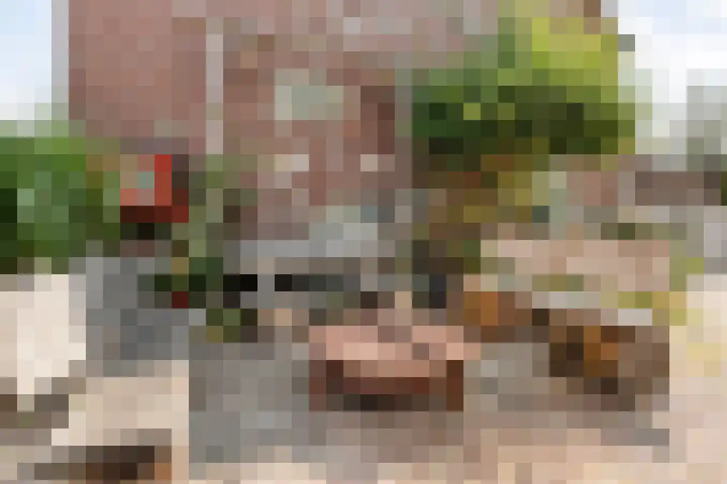 Van Galenstraat 94 Zwolle thumbnail 23