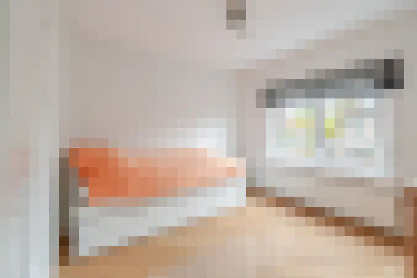 van Galenweg 10 Breda thumbnail 12