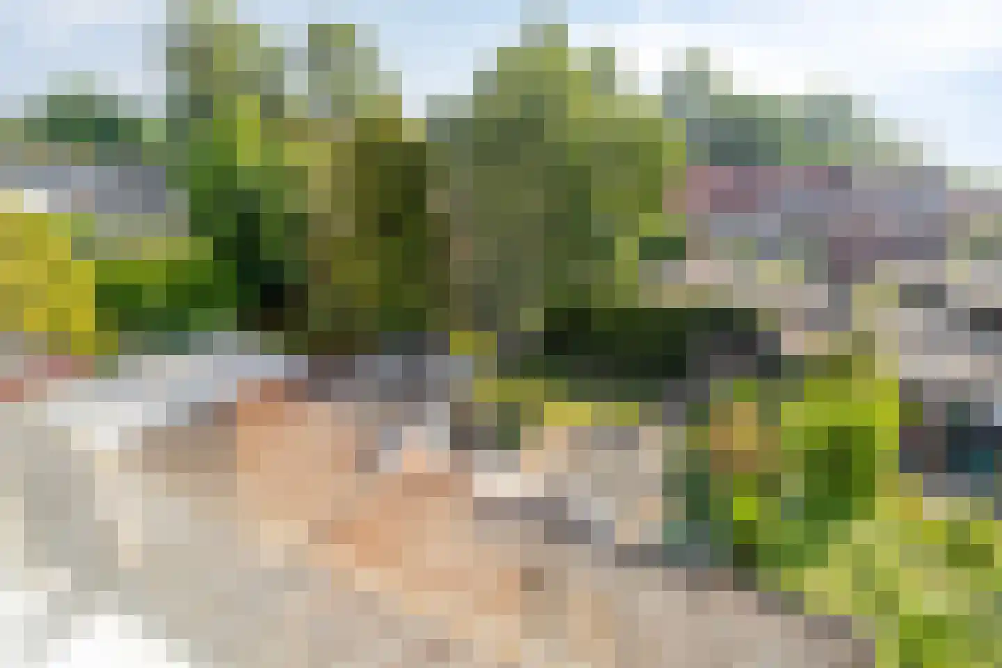 Van Gaverenlaan 30 Steenbergen thumbnail 35