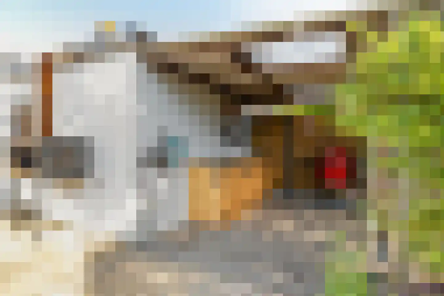 Van Gaverenlaan 30 Steenbergen thumbnail 38