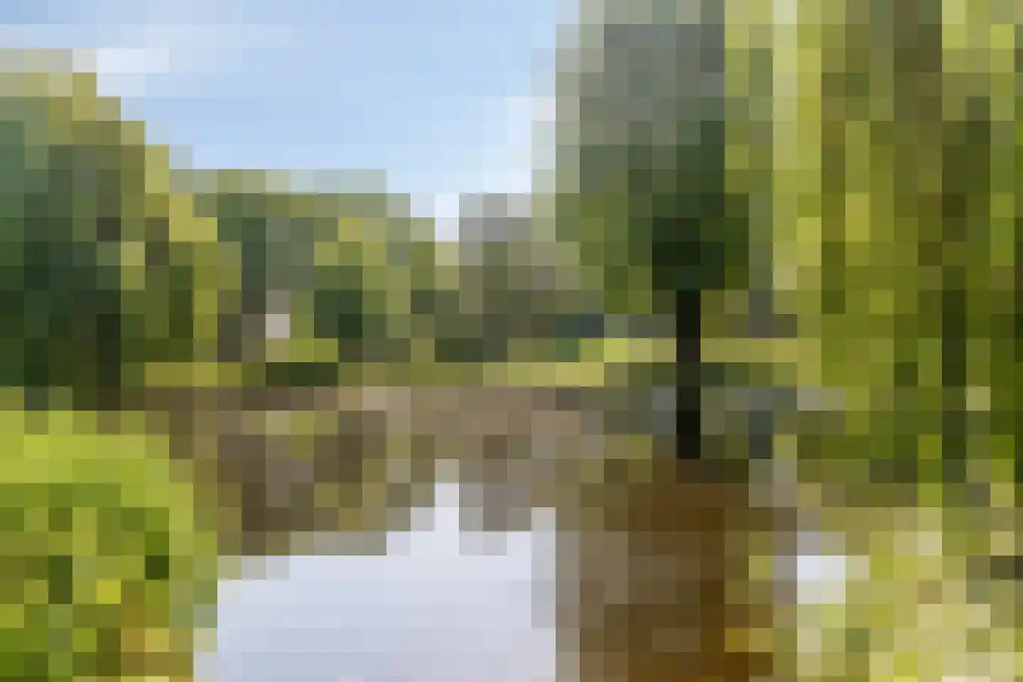 Van Gaverenlaan 30 Steenbergen thumbnail 7