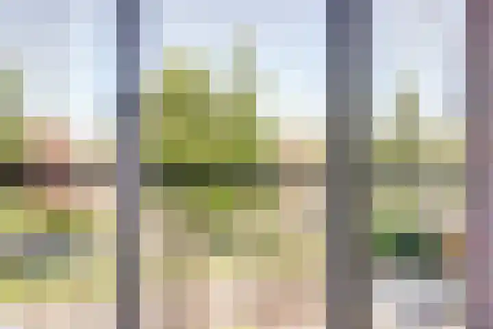 Van Gaverenlaan 34 Steenbergen thumbnail 23