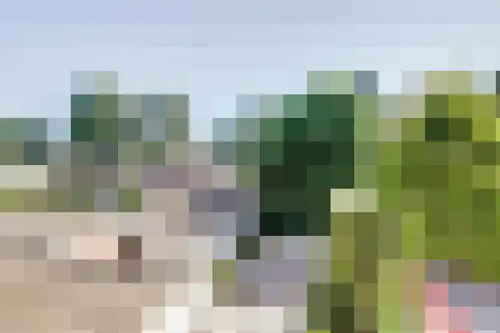 Van Gaverenlaan 34 Steenbergen thumbnail 32