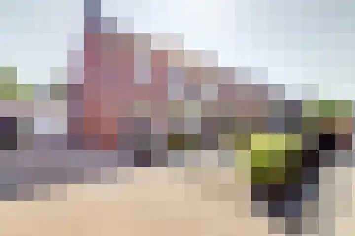 Van Gaverenlaan 34 Steenbergen thumbnail 41