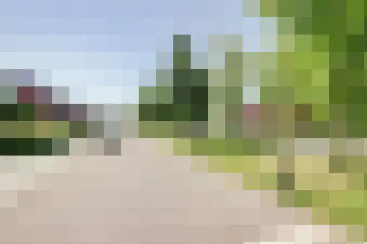 Van Gaverenlaan 34 Steenbergen thumbnail 7