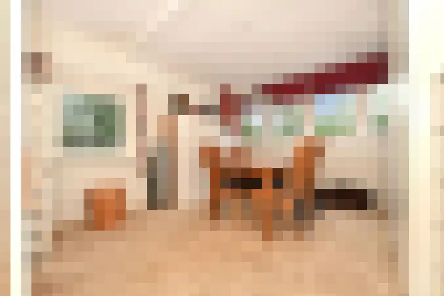 Van Gaverenlaan 45 Steenbergen thumbnail 34
