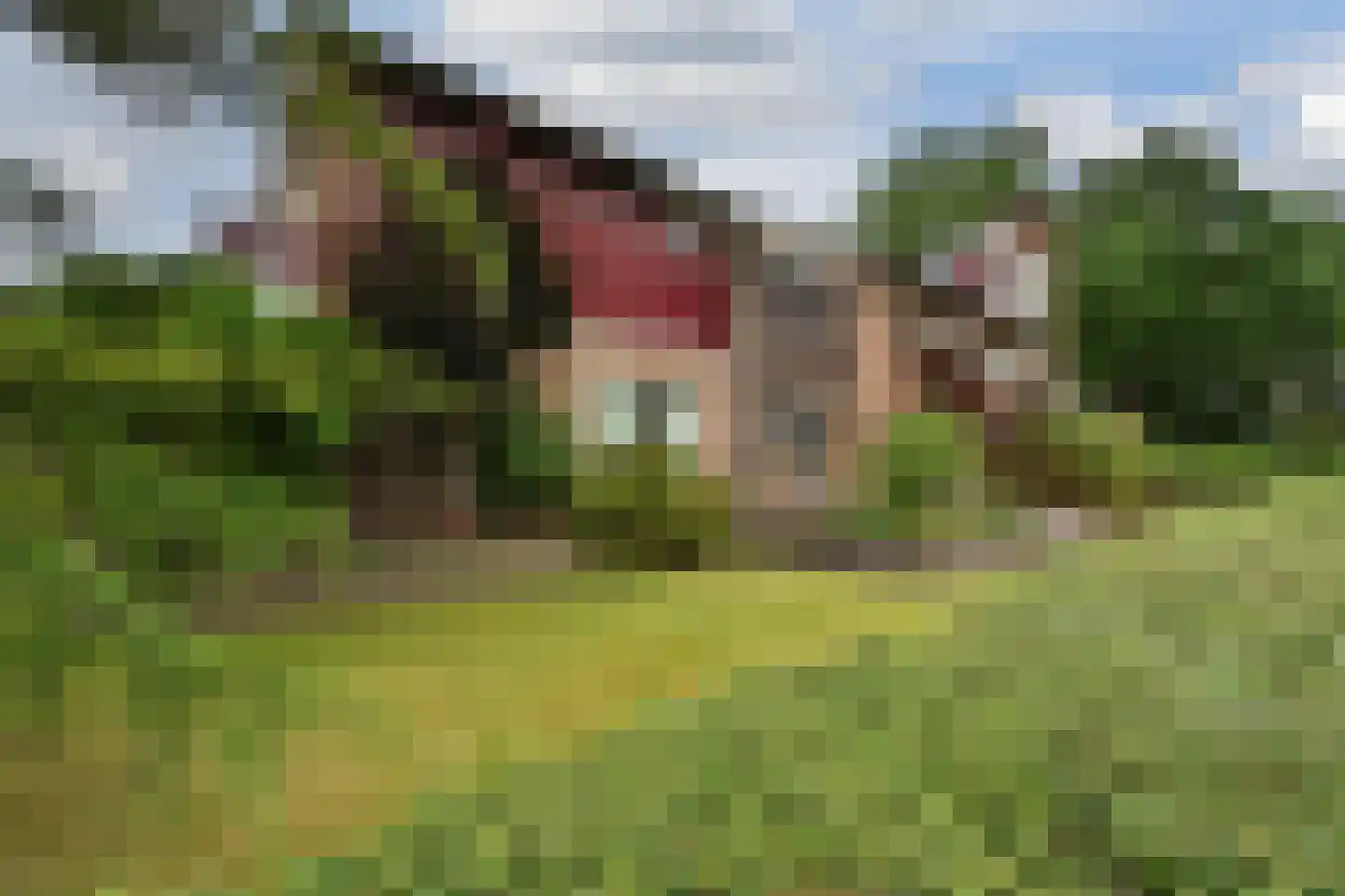 Van Gaverenlaan 45 Steenbergen thumbnail 42