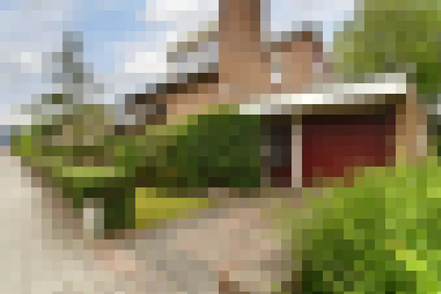 Van Gaverenlaan 45 Steenbergen thumbnail 43