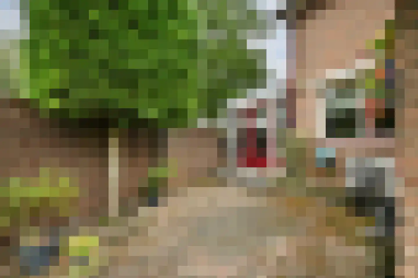Van Gaverenlaan 45 Steenbergen thumbnail 46