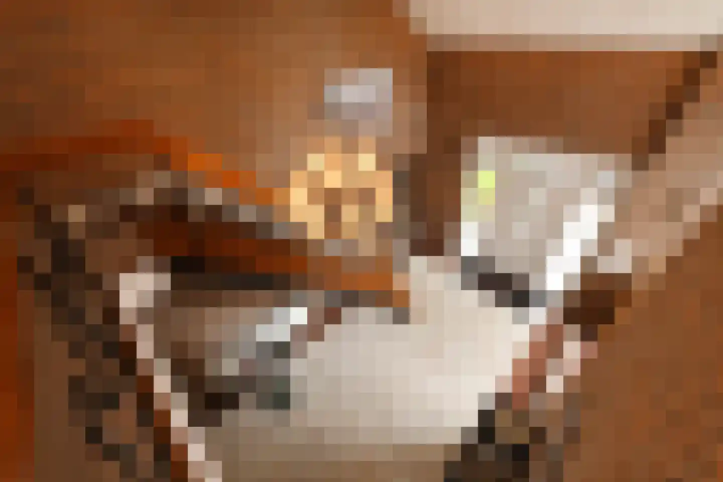 Van Gaverenlaan 45 Steenbergen thumbnail 8